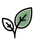 Organic cotton leaf icon representing sustainable apparel